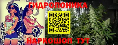 дмт Пушкино